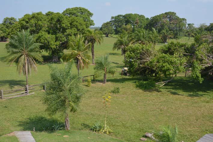 Fazenda Portal Paraiso, Pantanal/Brasilien