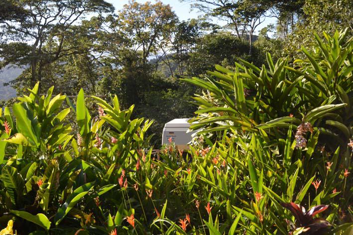 Finca Esperanza Verde, Yucul/ Nicaragua