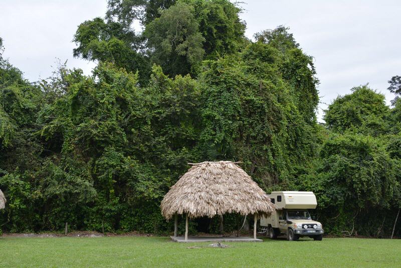 Campingwiese in der Ruinenanlage Tikal/Guatemala