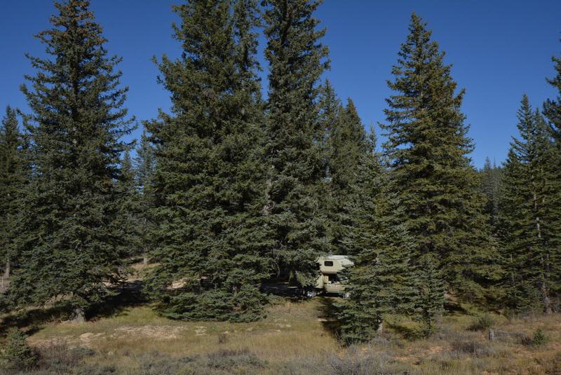 East Fork Road, Dixie National Forest, Utah/USA