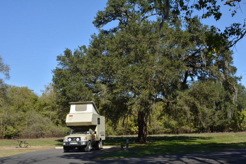 Brazos Bend State Park, Texas/USA