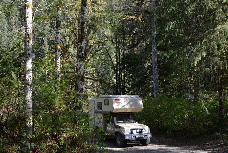 Municipal Campsite, Gold River, Vanc. Isl./Kanada