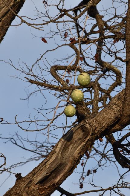 "Weihnachtskugelbaum"