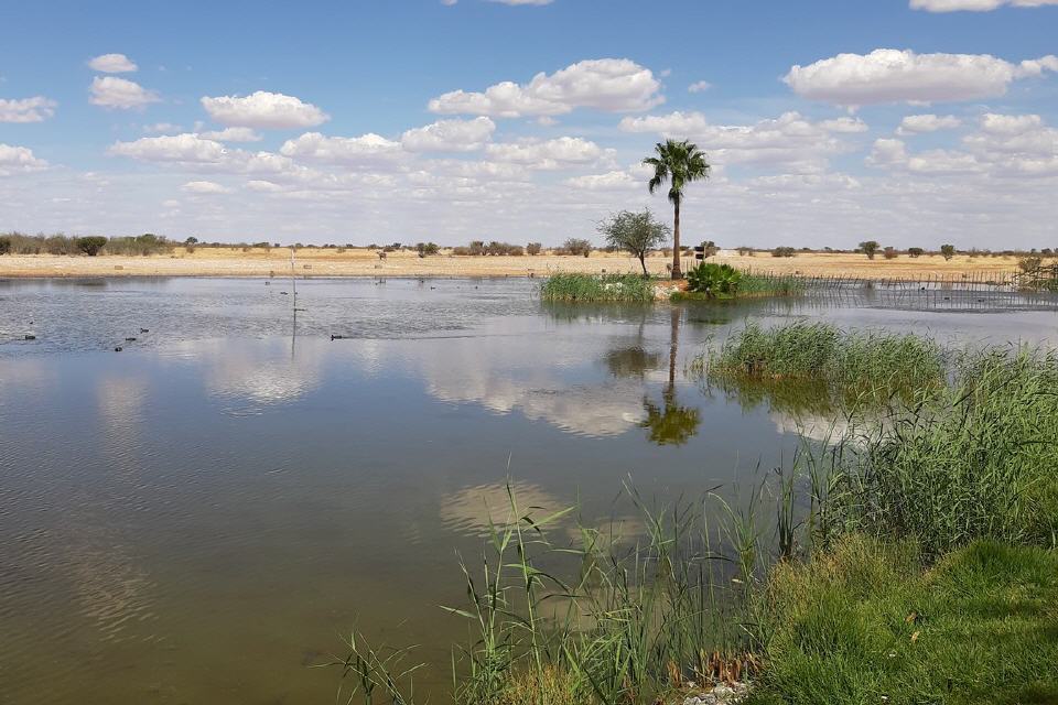 mit schönem Wasserloch 