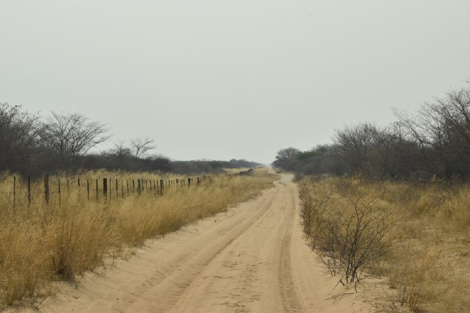 Endlose Zufahrt entlang des Veterinärzaunes