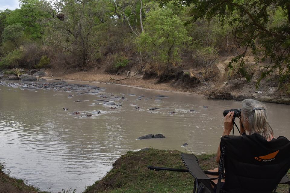 In 1. Reihe am Hippo-Pool