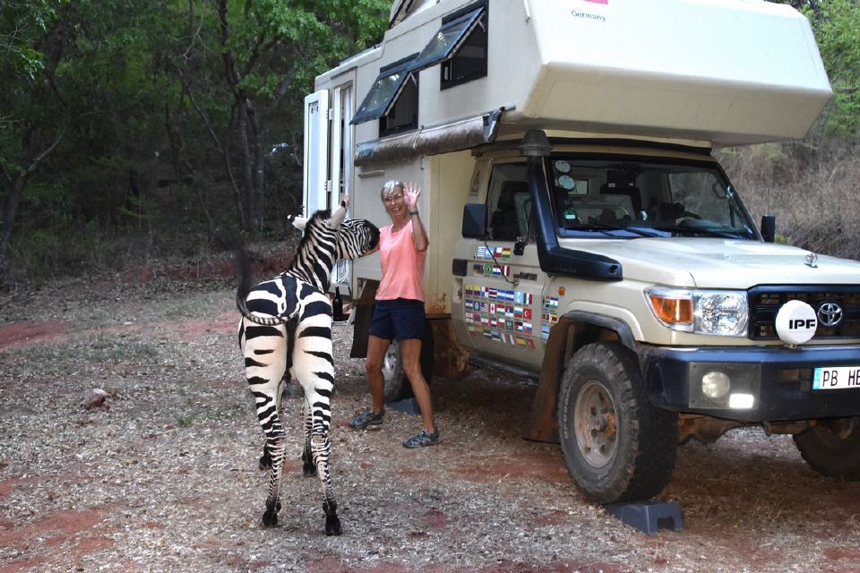 Besuch von "Zebrastian"