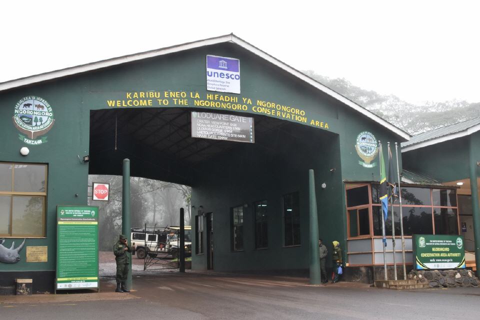 Im Nebel entlang des Ngorongoro Krater in die Serengeti.