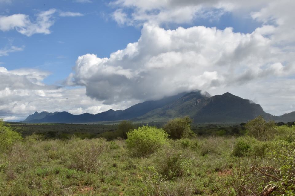 Schöne Landschaft im Tsavo Park