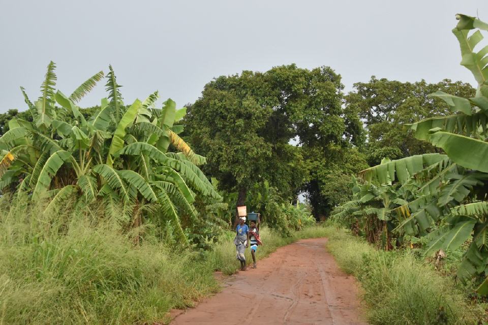 Auf dem Weg zur Farm.