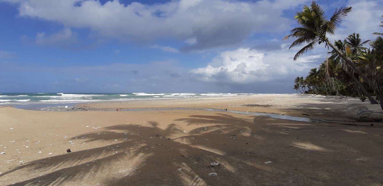 Ein herrlicher Strand am Morrungulo Beach Camp...