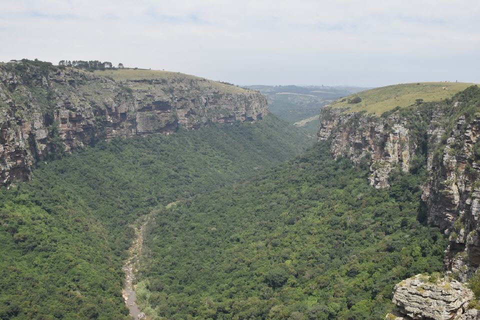 Oribi Schlucht