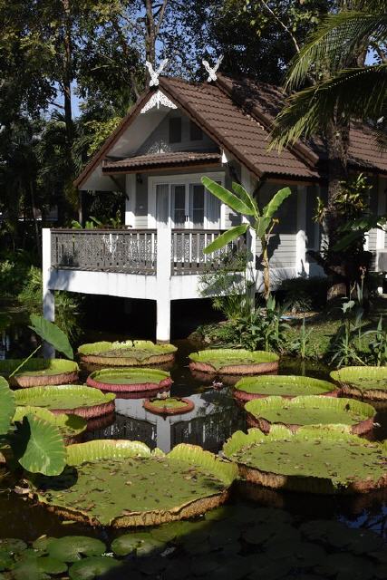Bungalow im Teich