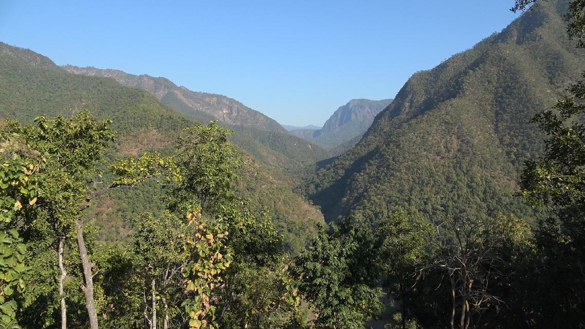 Im Nationalpark
