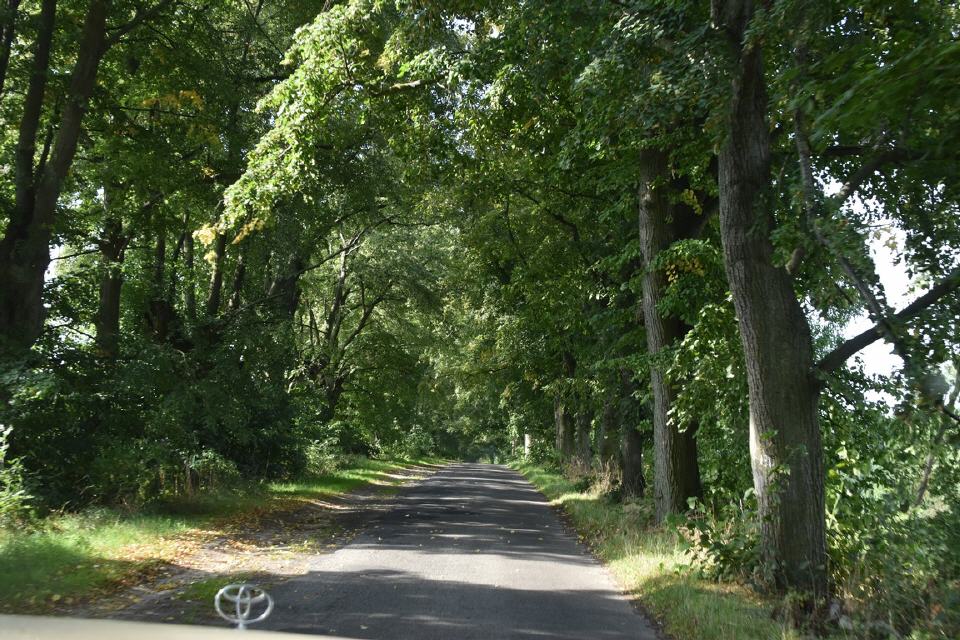 Typische Alleenstraße im Osten 